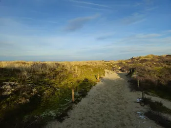 Oostnieuwkerke duinen wandeling in de koude (België)